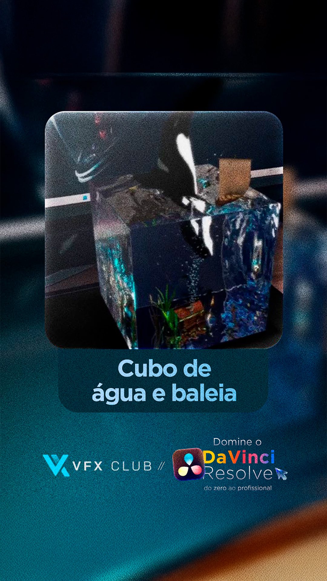 Capa do Módulo 14